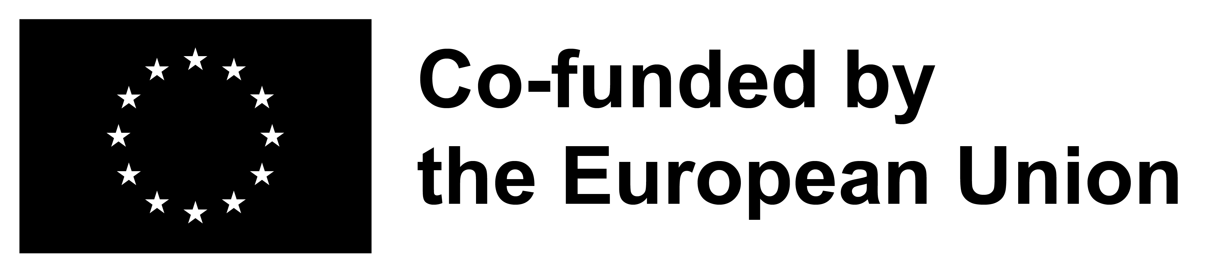 Co-funded by the European Union